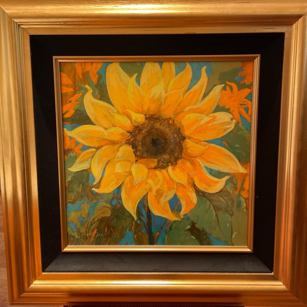 Simon Bull Sunflower Art Print in Gold Frame
